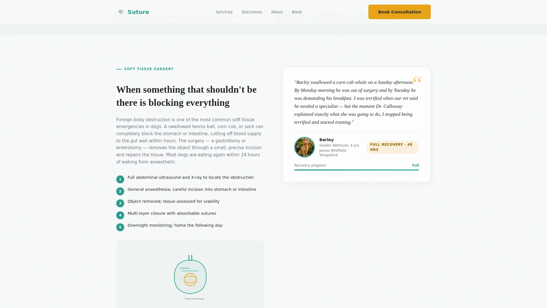 Veterinary Surgeon Landing Page Template