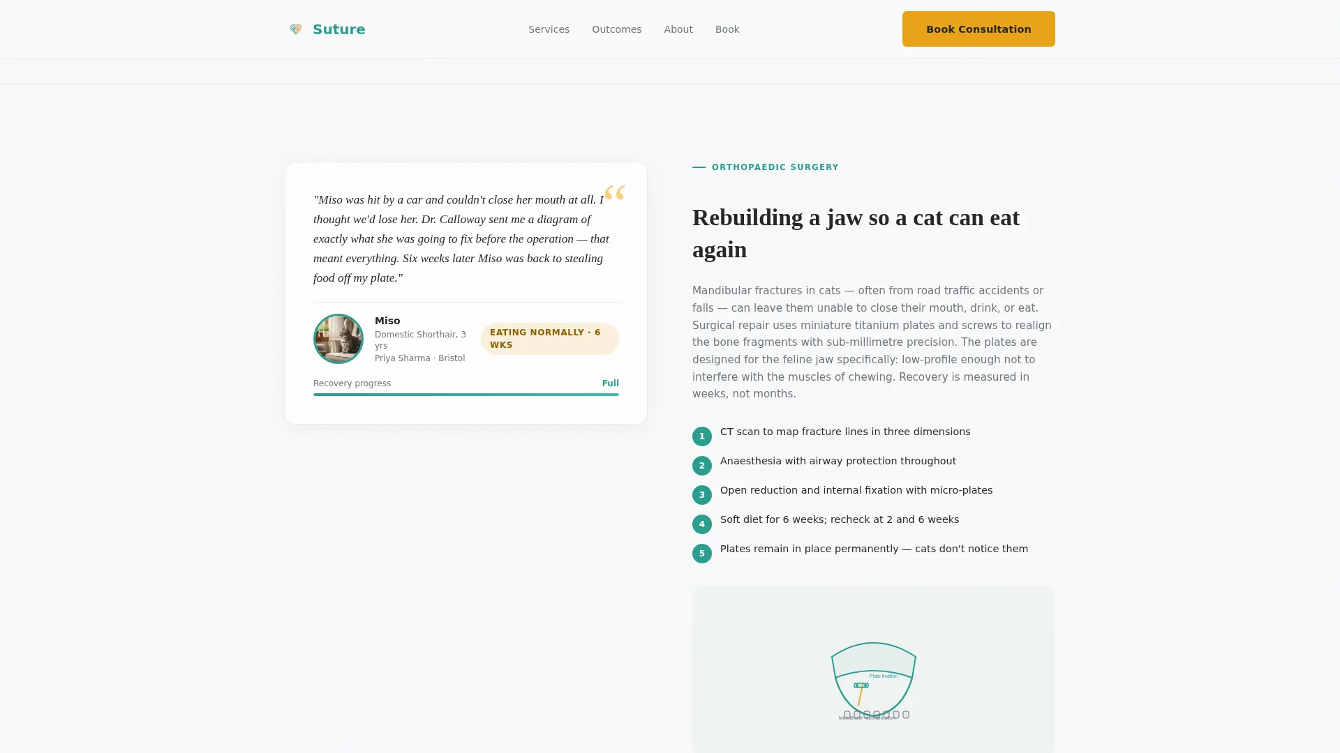 Veterinary Surgeon Landing Page Template
