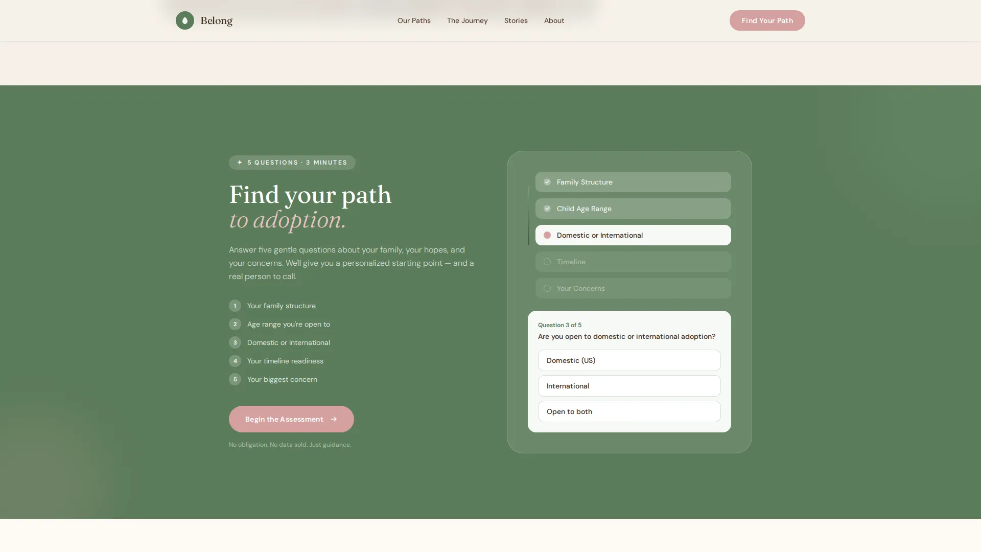 Heartfelt Adoption Agency Landing Page Template