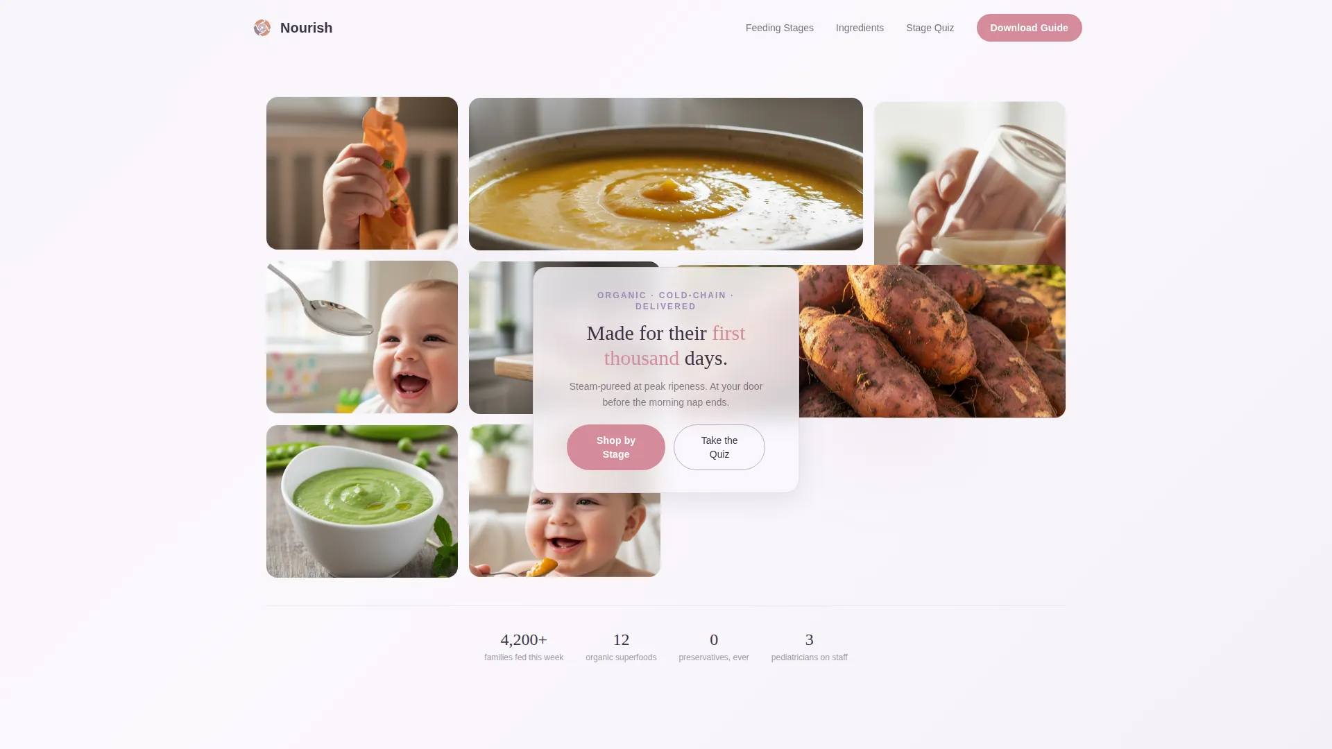 Organic Baby Food Brand Landing Page Template