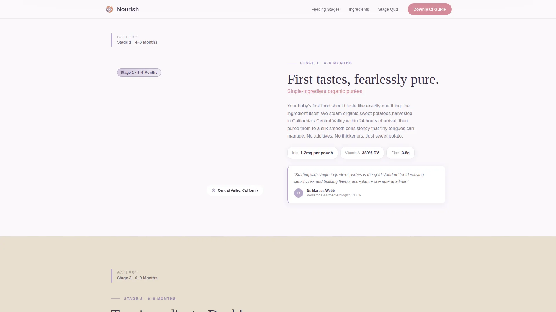 Organic Baby Food Brand Landing Page Template