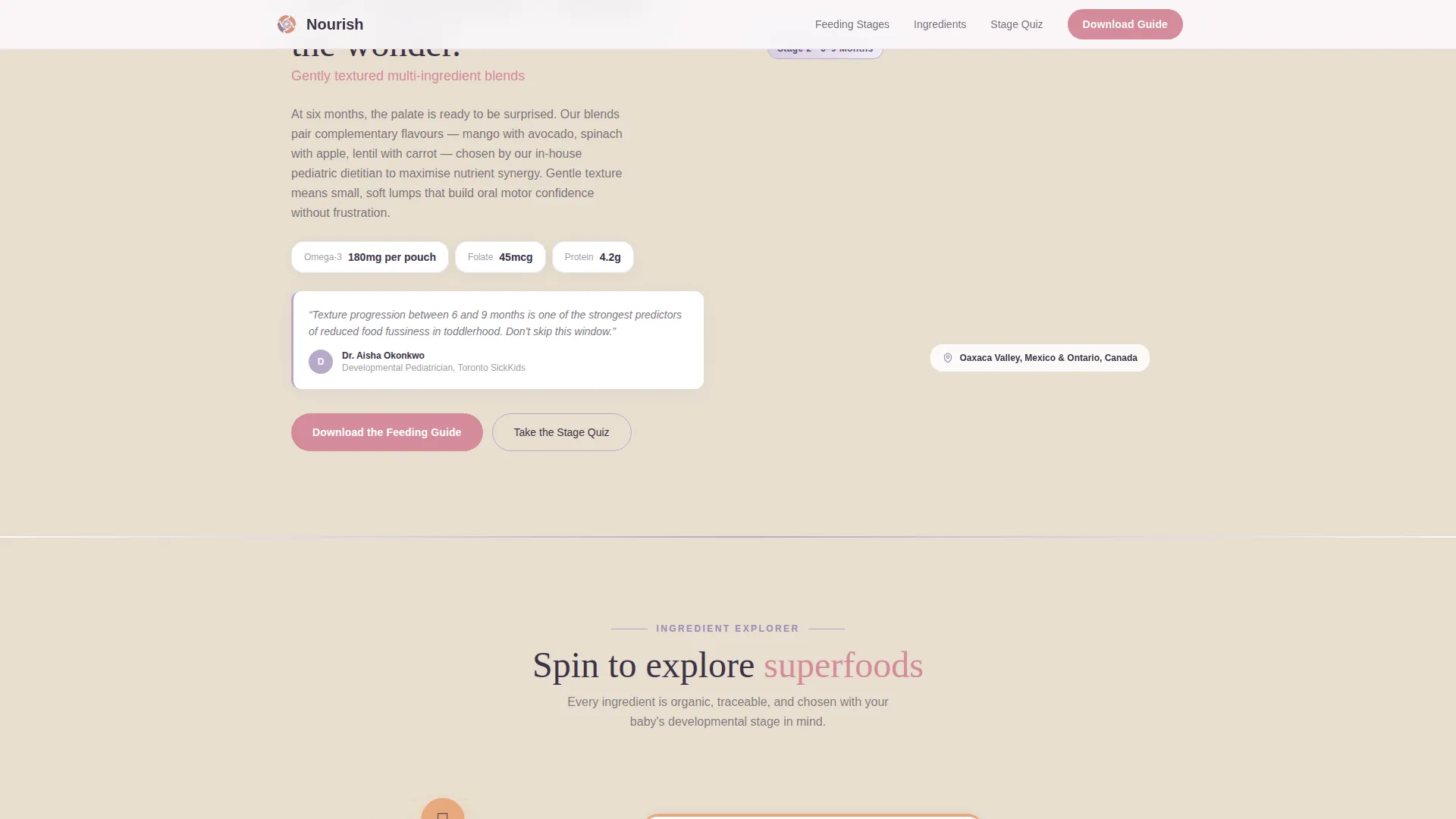 Organic Baby Food Brand Landing Page Template