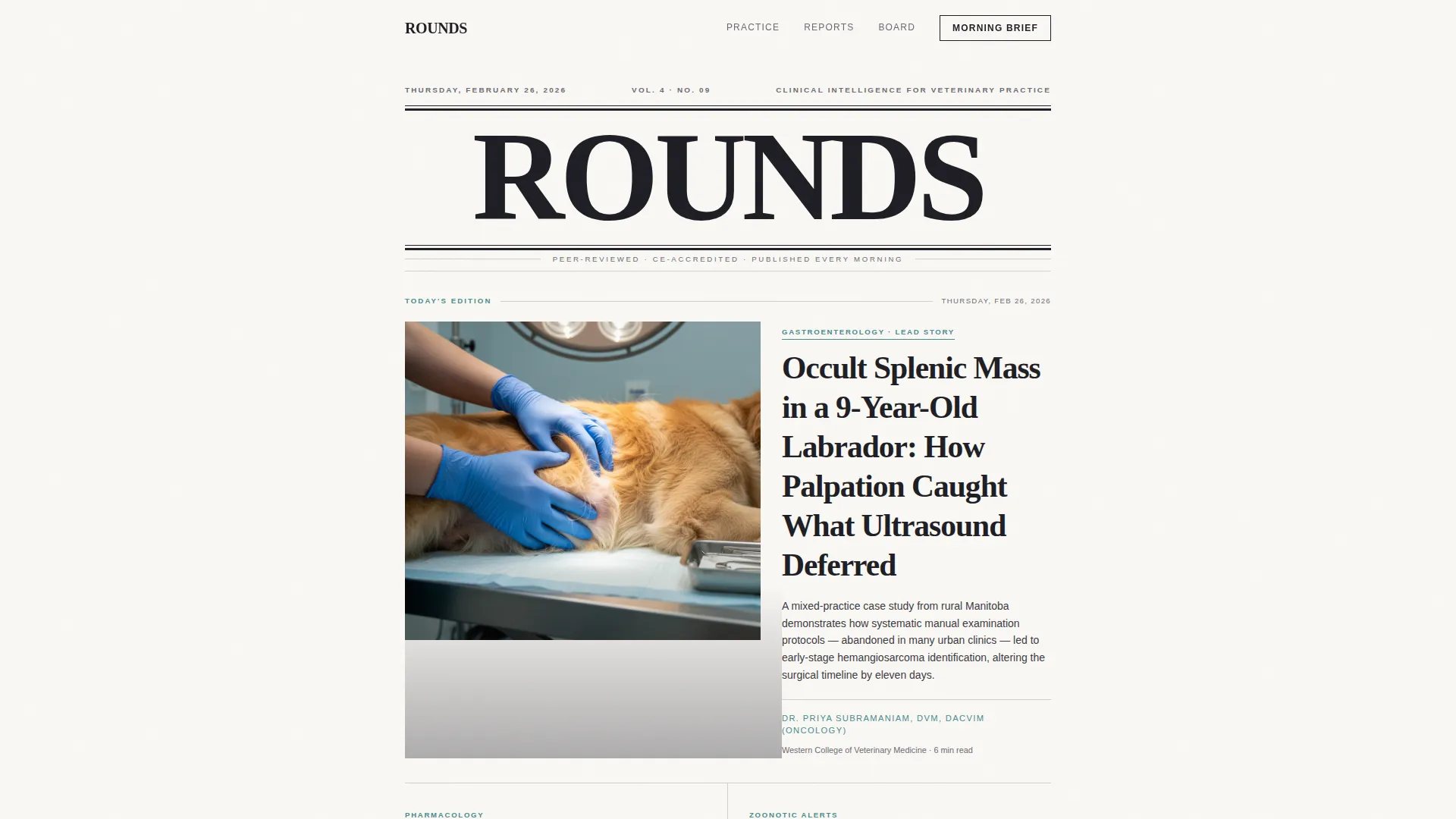 Veterinary News Blog Landing Page Template