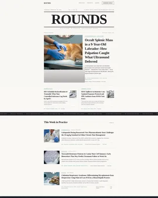 Veterinary News Blog Landing Page Template
