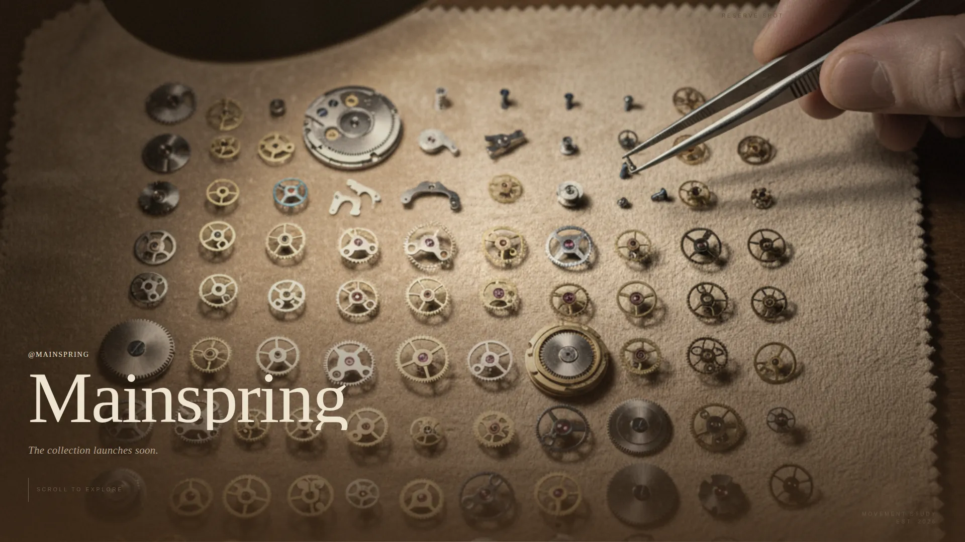 Horology & Watch Collecting Landing Page Template