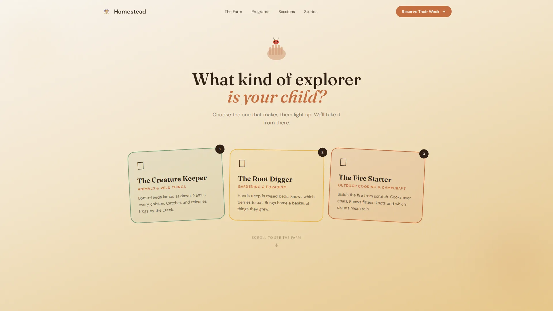 Summer Camp & Outdoor Program Booking Website Template
