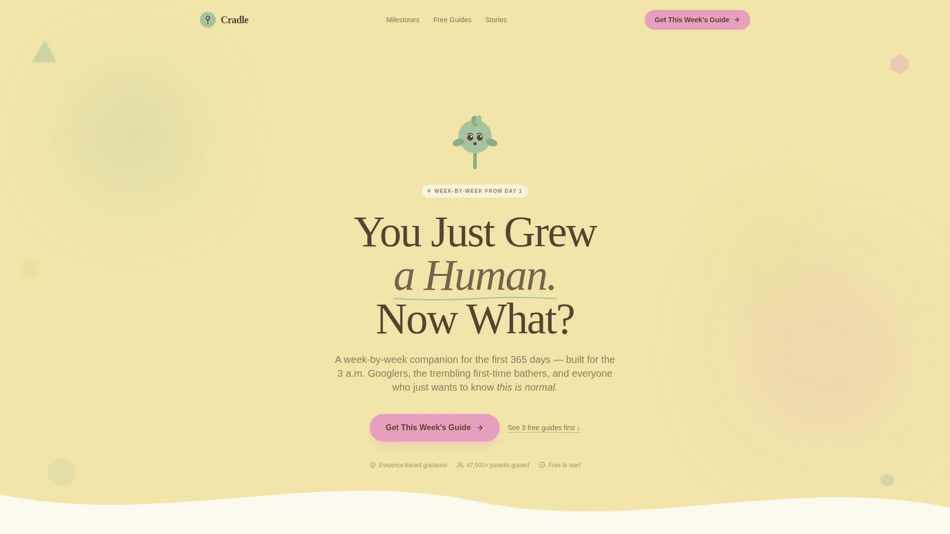 Infant (0-1) Products & Specialist Professional Website Template
