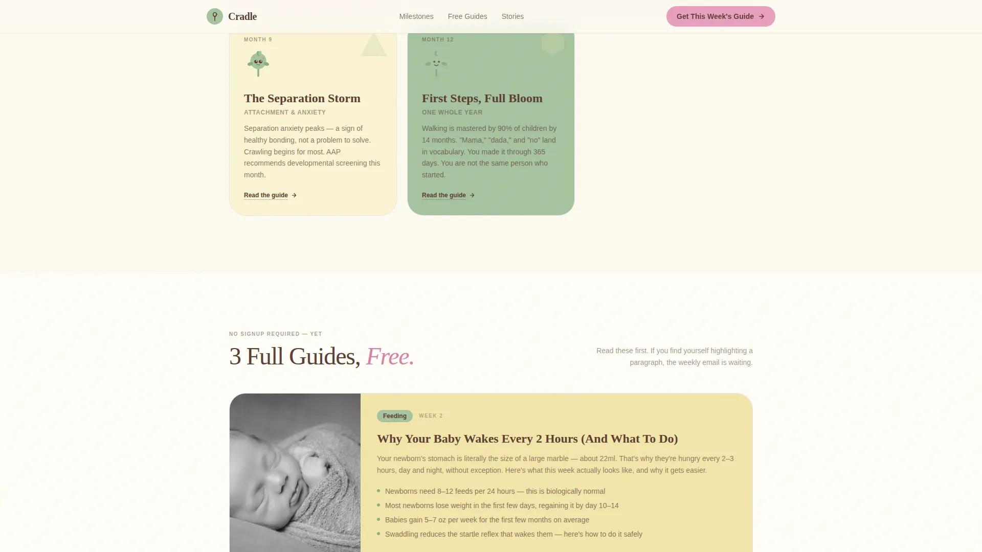 Infant (0-1) Products & Specialist Professional Website Template