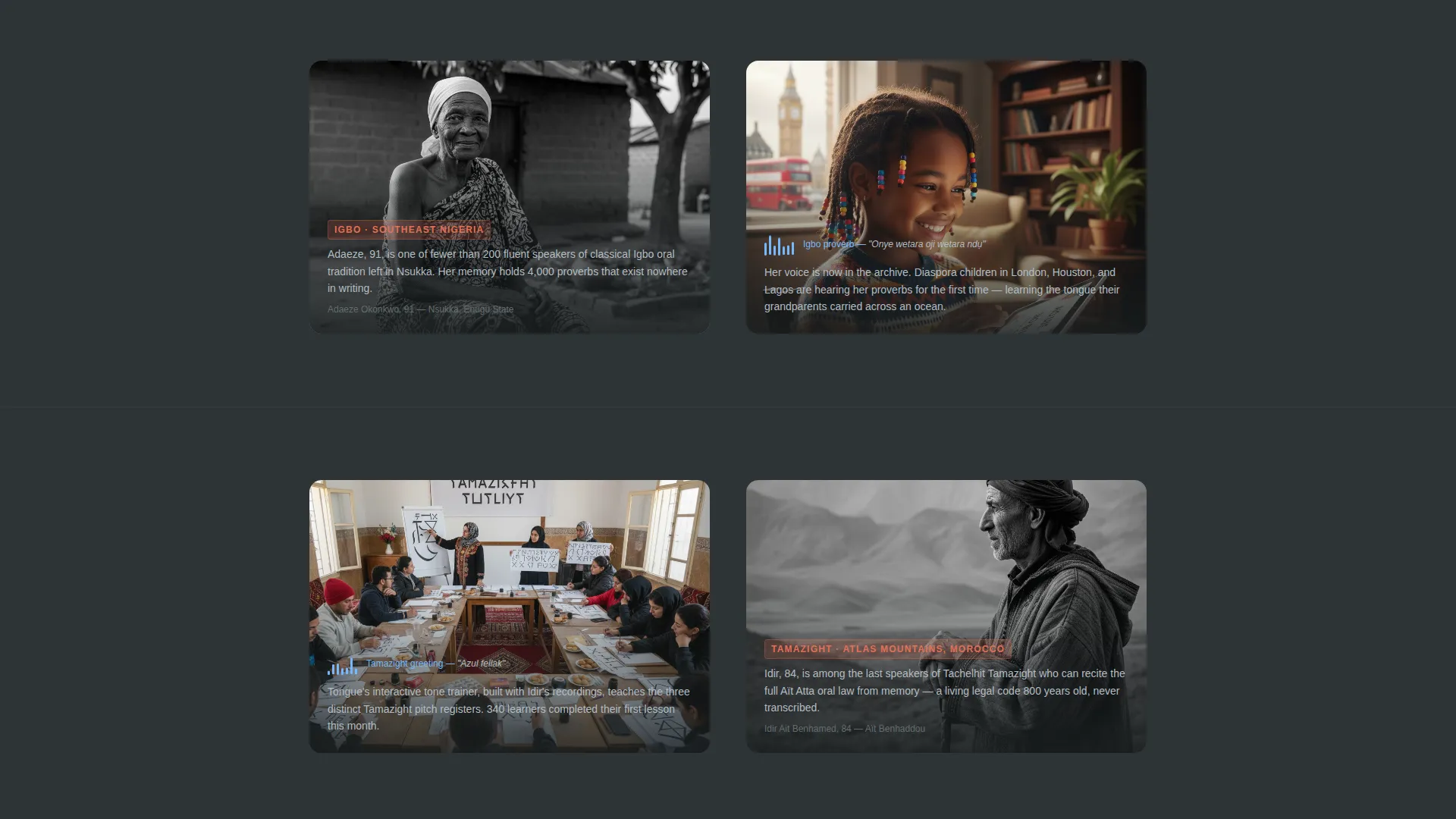 African Language Preservation Landing Page Template
