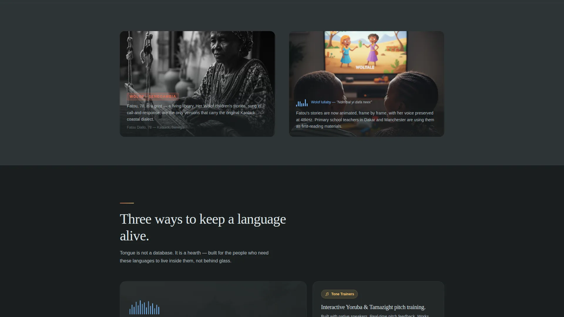African Language Preservation Landing Page Template