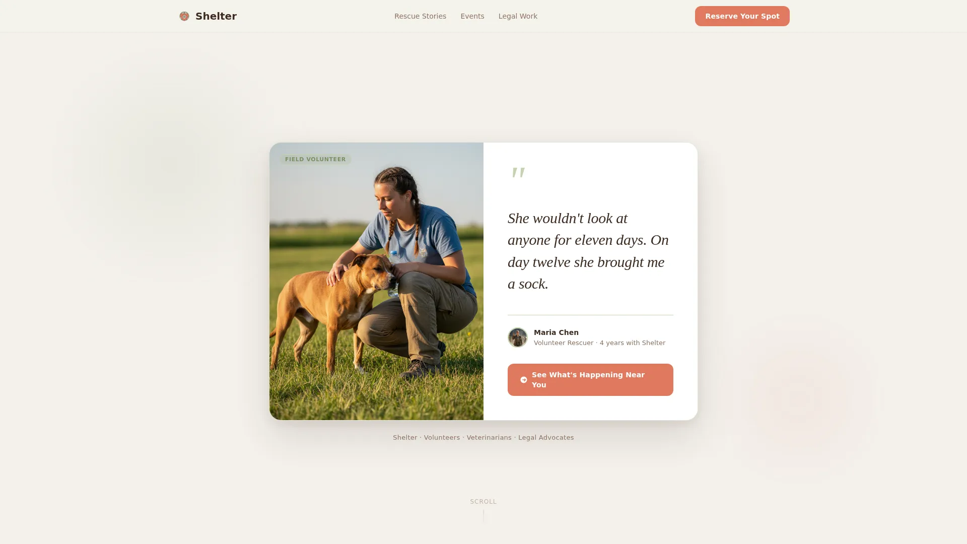 Animal Cruelty Prevention Nonprofit Landing Page