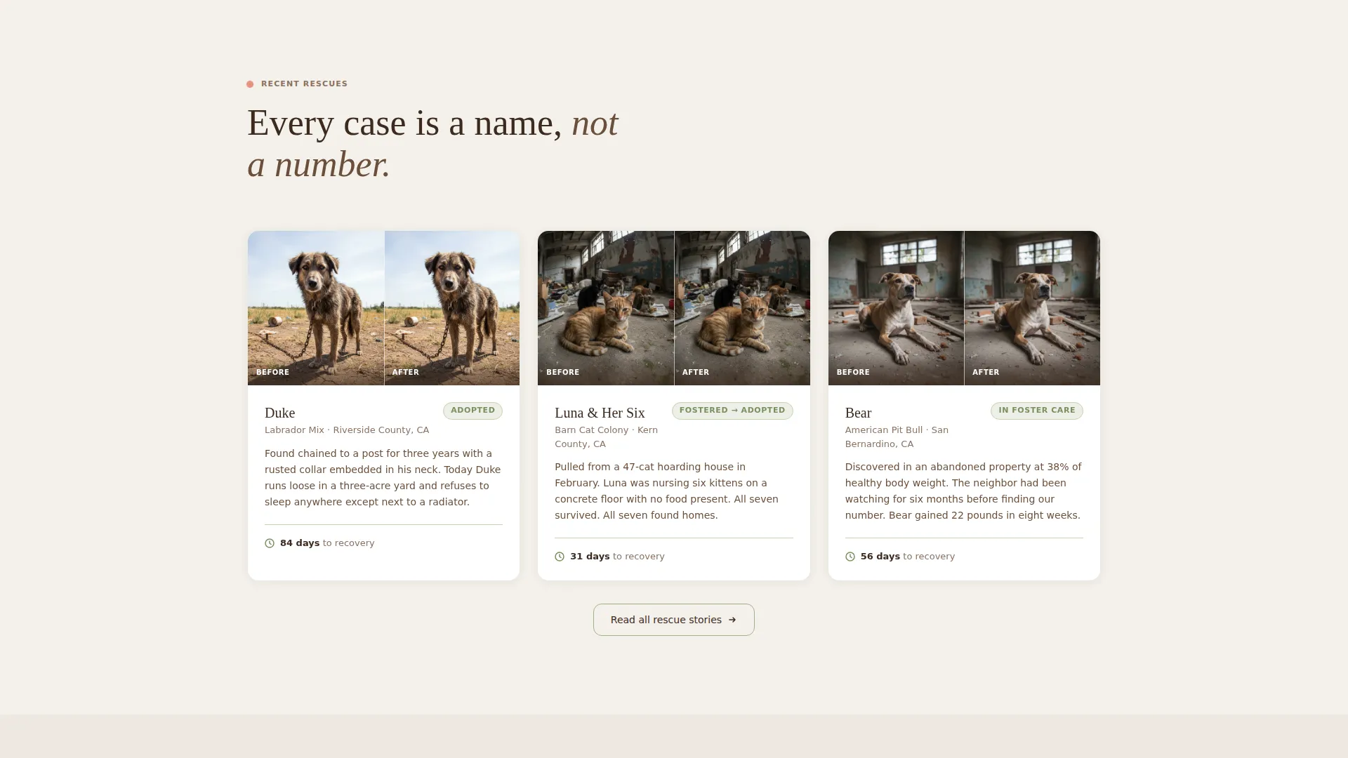 Animal Cruelty Prevention Nonprofit Landing Page