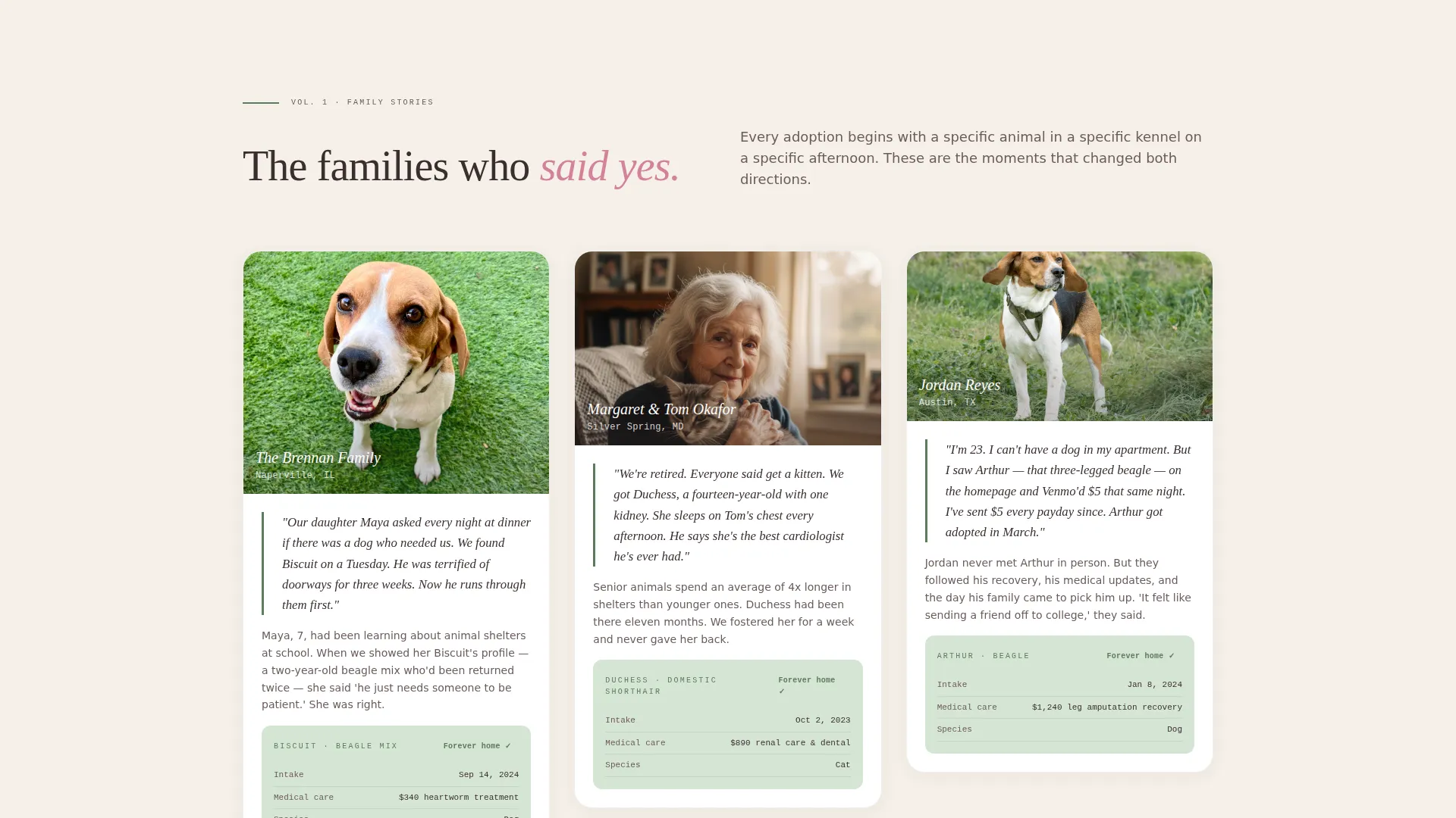 Nonprofit Animal Rescue Fundraising Landing Page Template