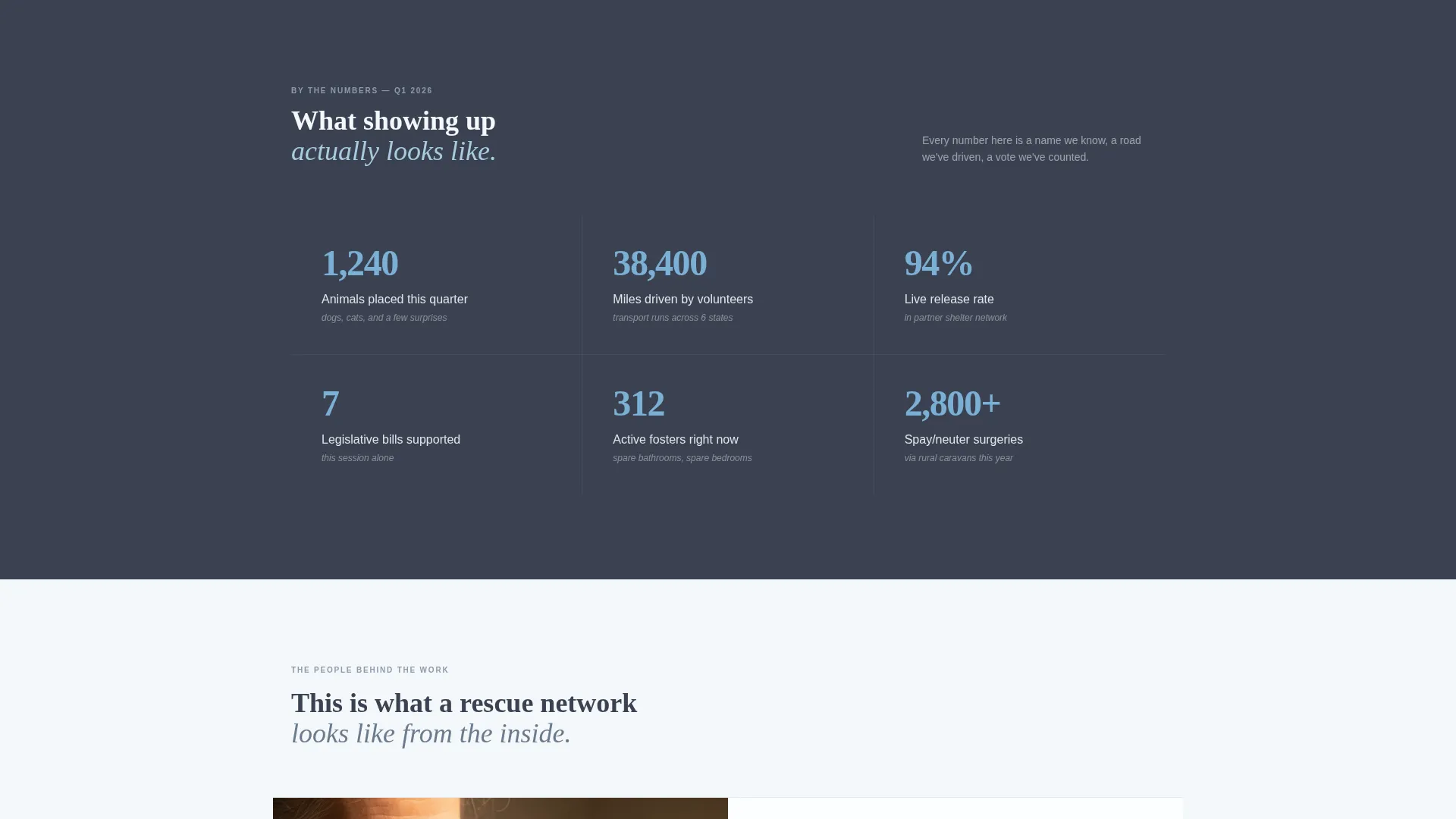 Animal Rights Landing Page Template for Grassroots Rescues