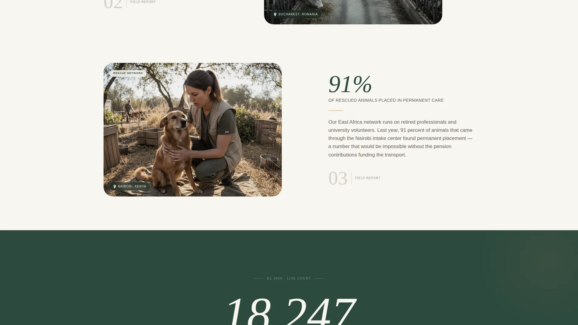Animal Rights Nonprofit Landing Page Template