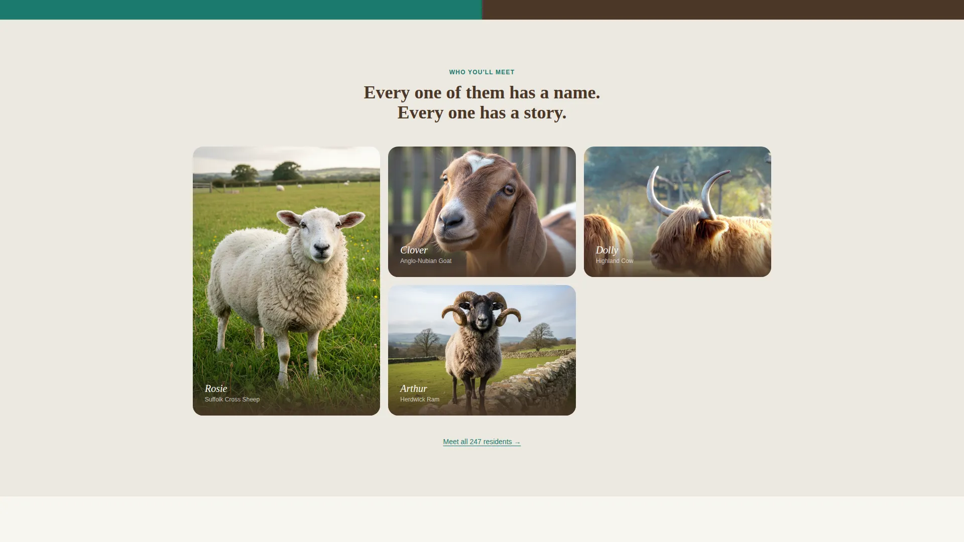Animal Rights Landing Page Template