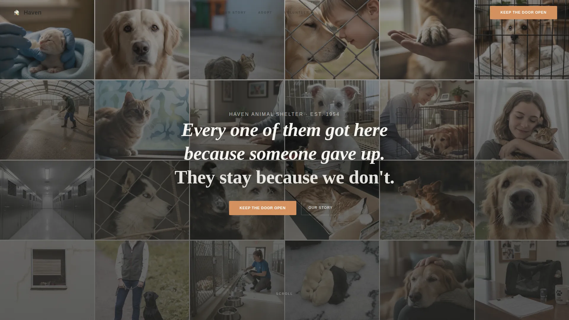 Animal Shelter Donation Landing Page Template