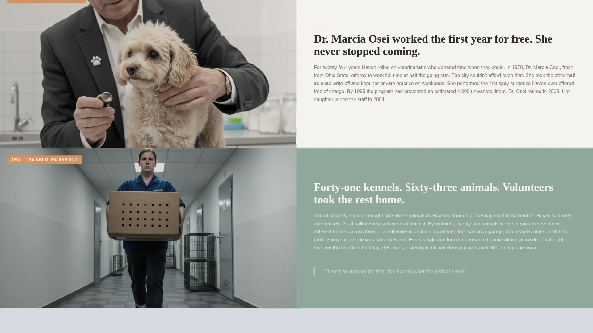Animal Shelter Donation Landing Page Template
