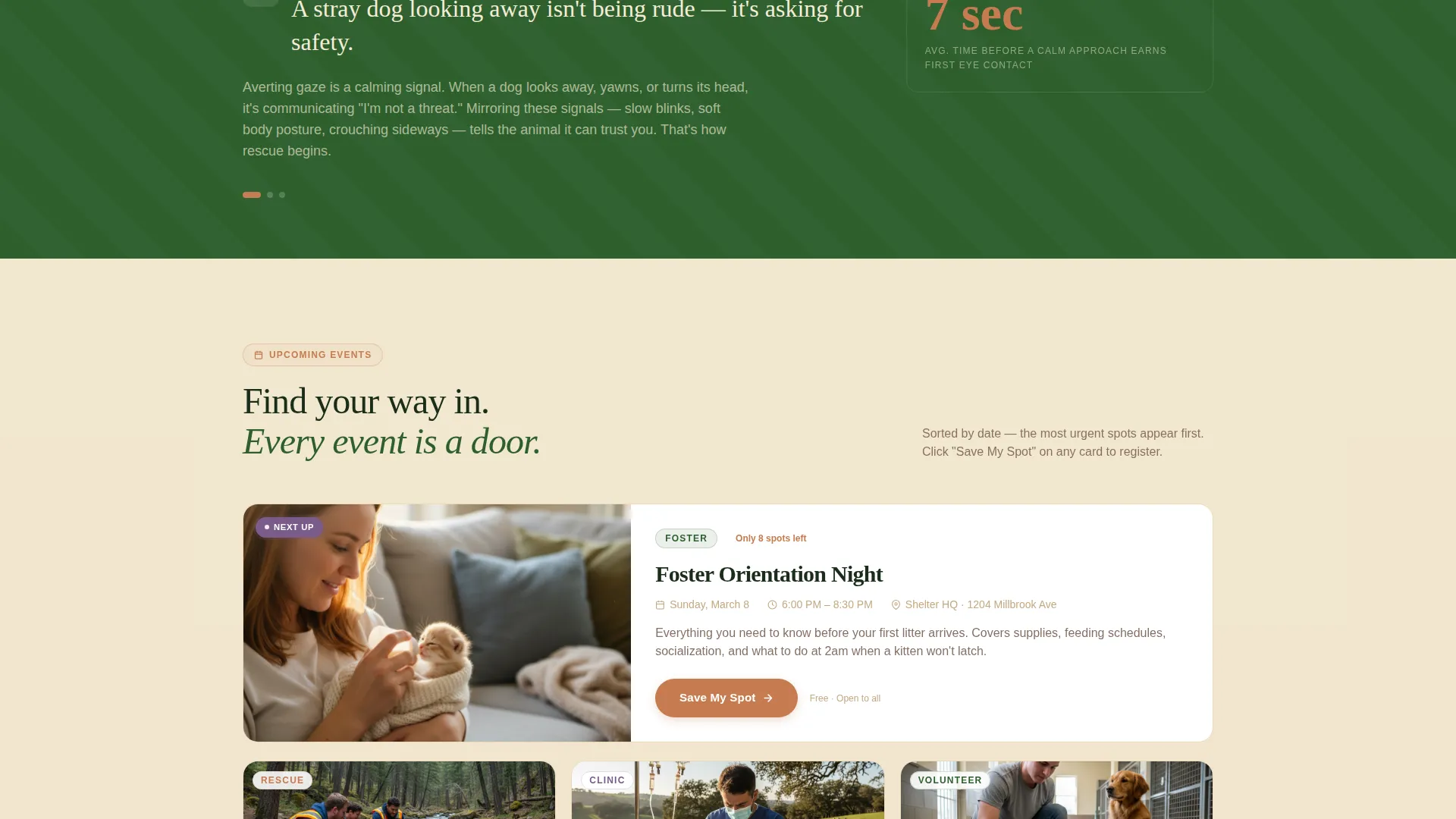 Advanced Foundation & NGO Professional Website Template