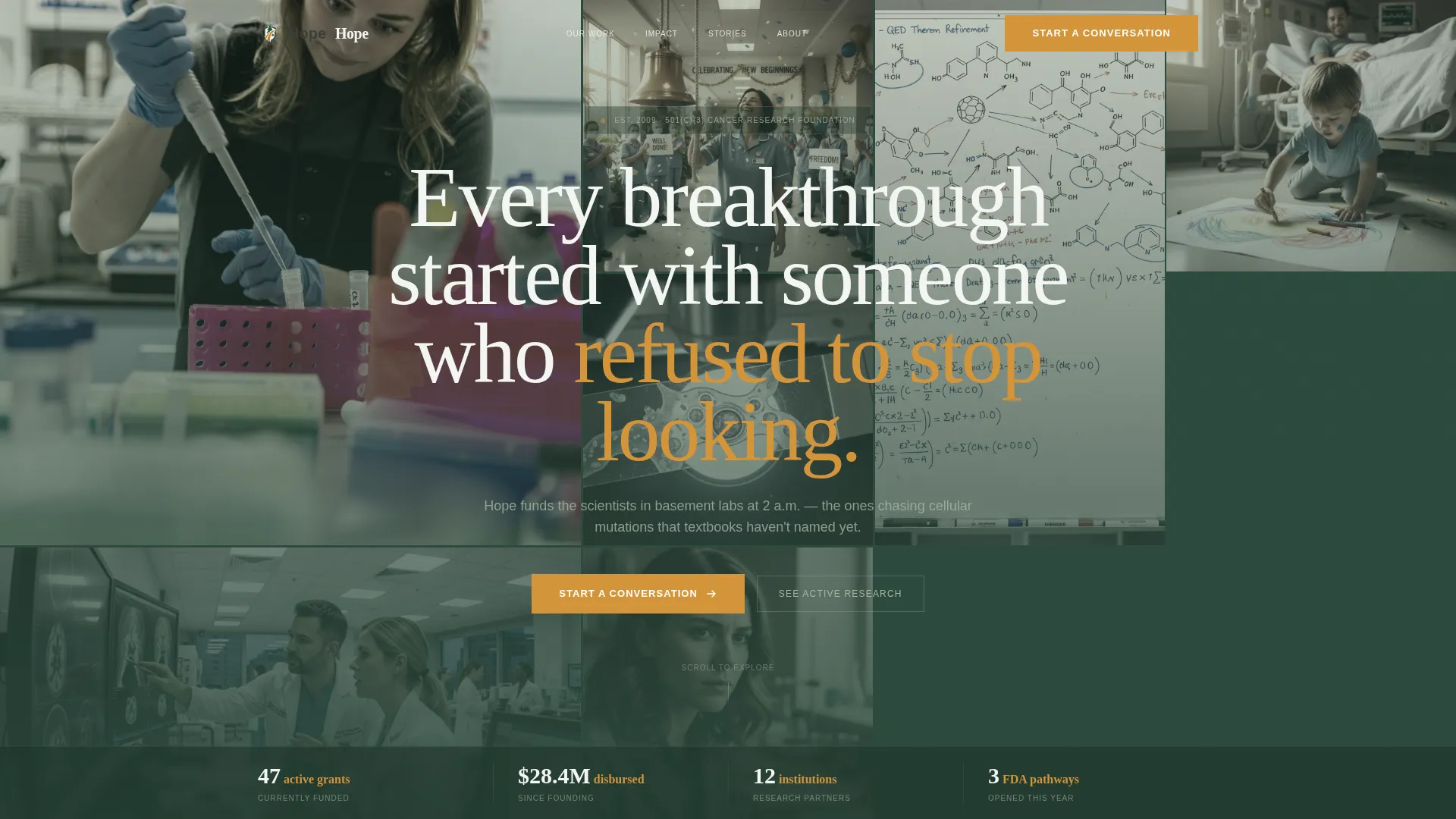Cancer Research Foundation Landing Page Template