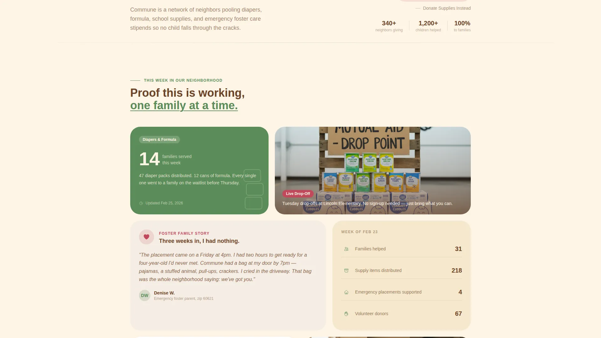 Child Welfare Mutual Aid Donation Landing Page