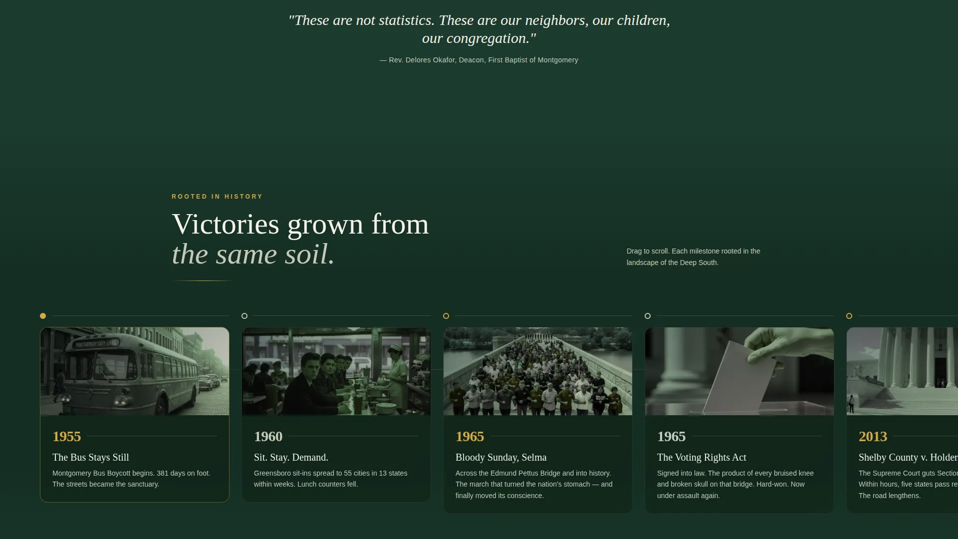 Specialist Advocacy & Social Campaign Professional Website Template