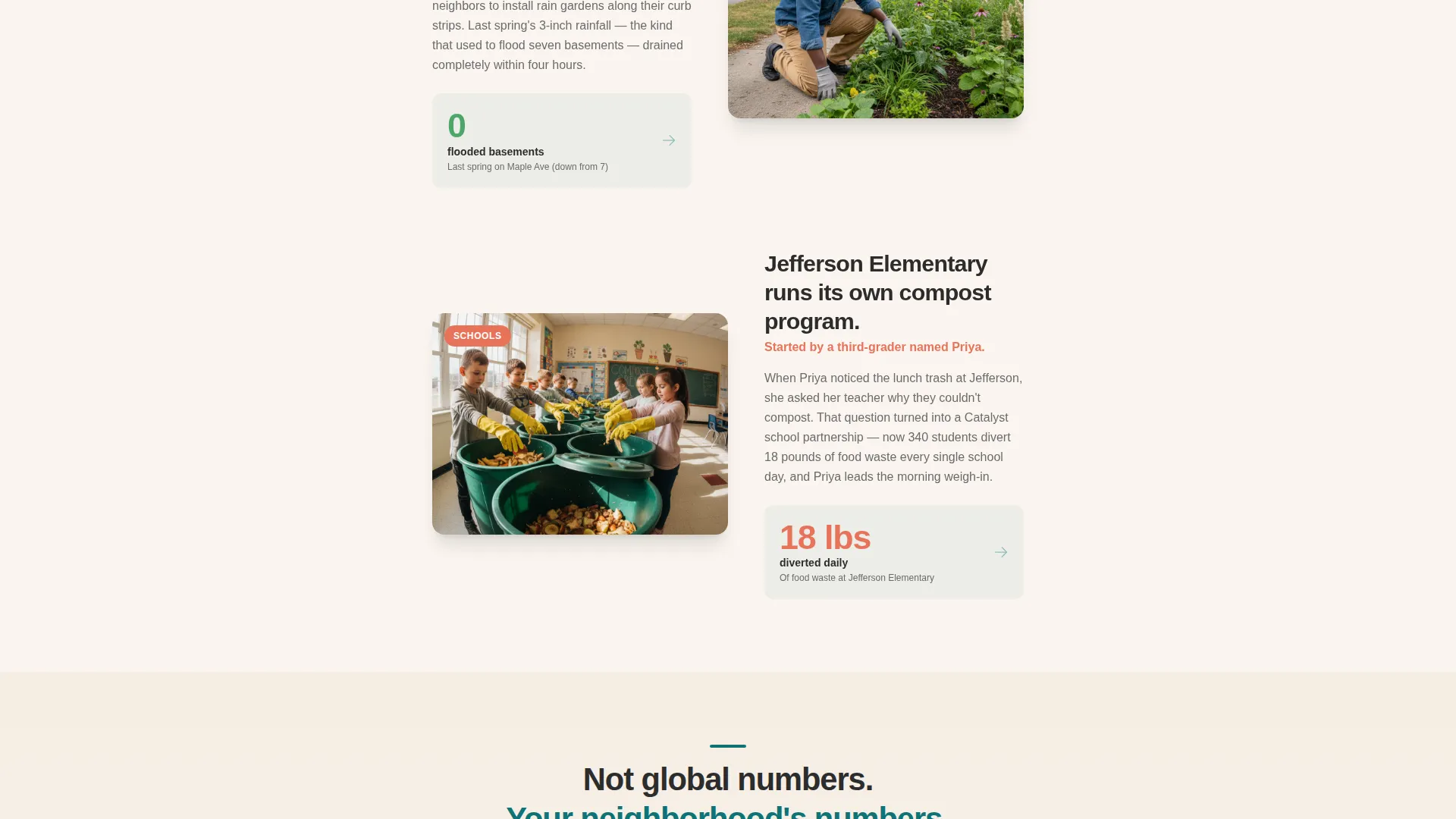 Specialist Environmental & Conservation NGO Professional Website Template