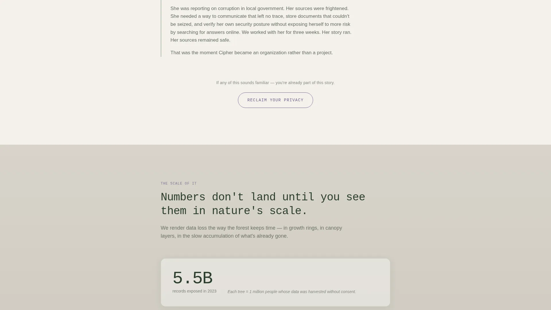 Advocacy & Social Campaign Privacy Policy & Terms Website Template