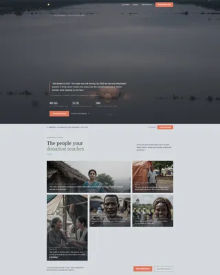Disaster Relief Charity Fundraising Landing Page