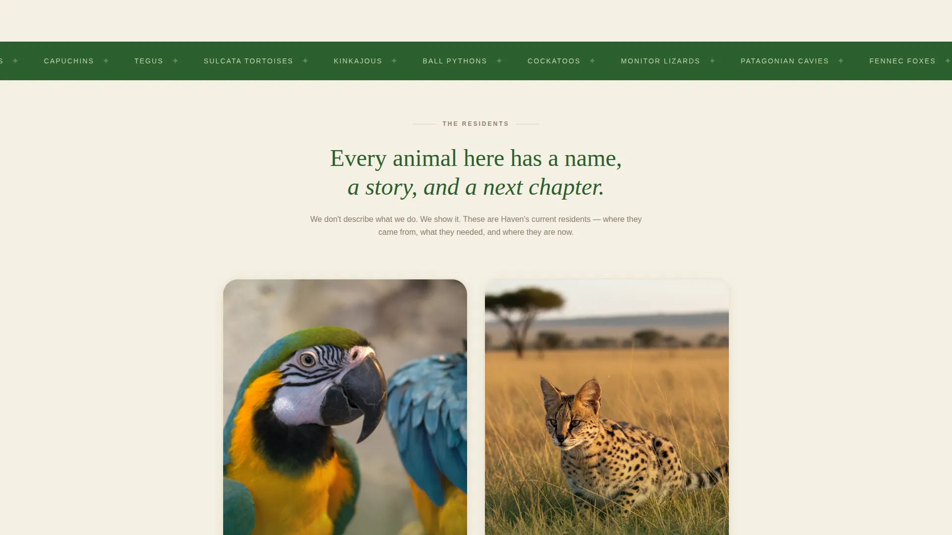 Exotic Animal Rescue Landing Page Template