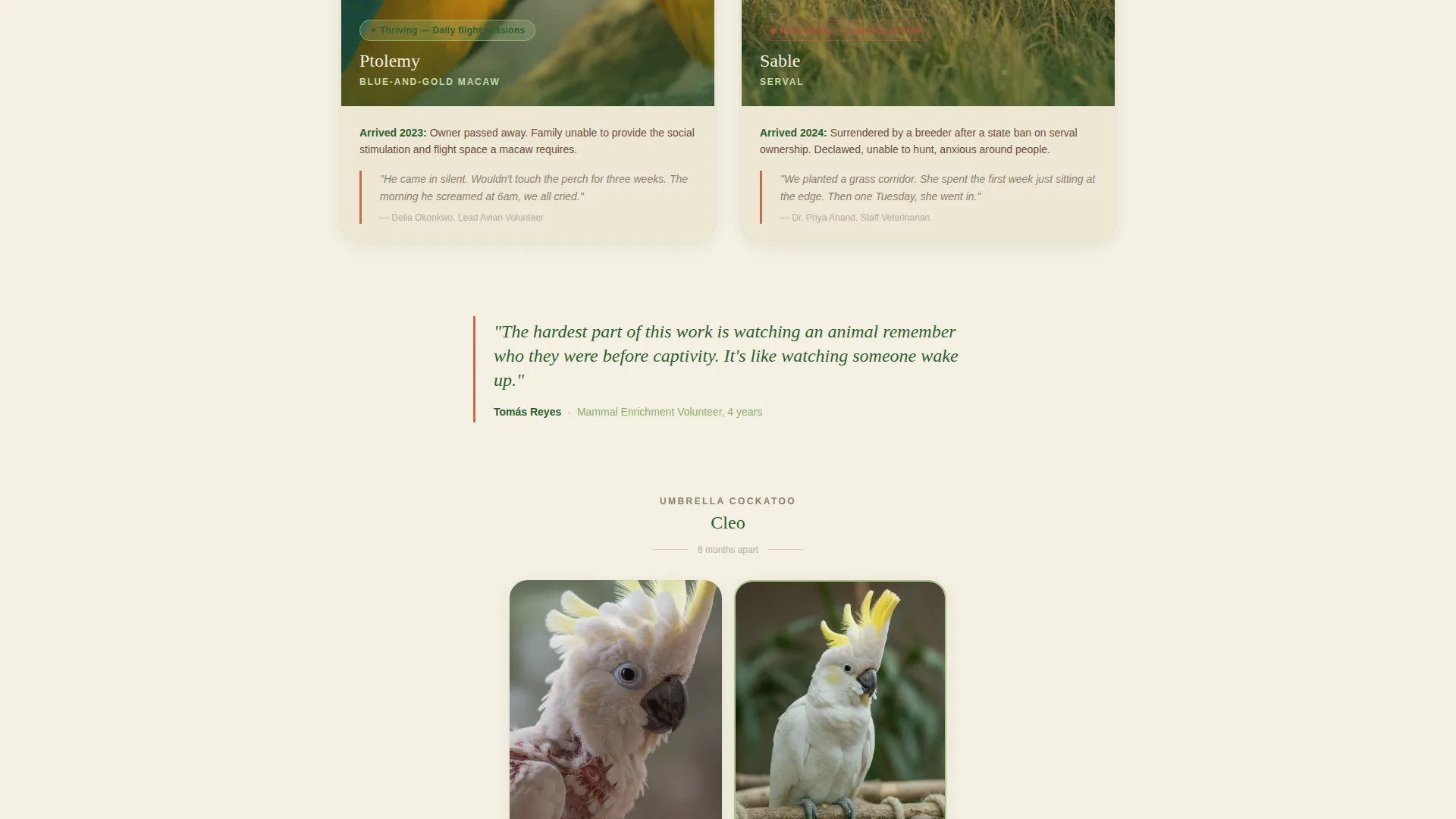 Exotic Animal Rescue Landing Page Template