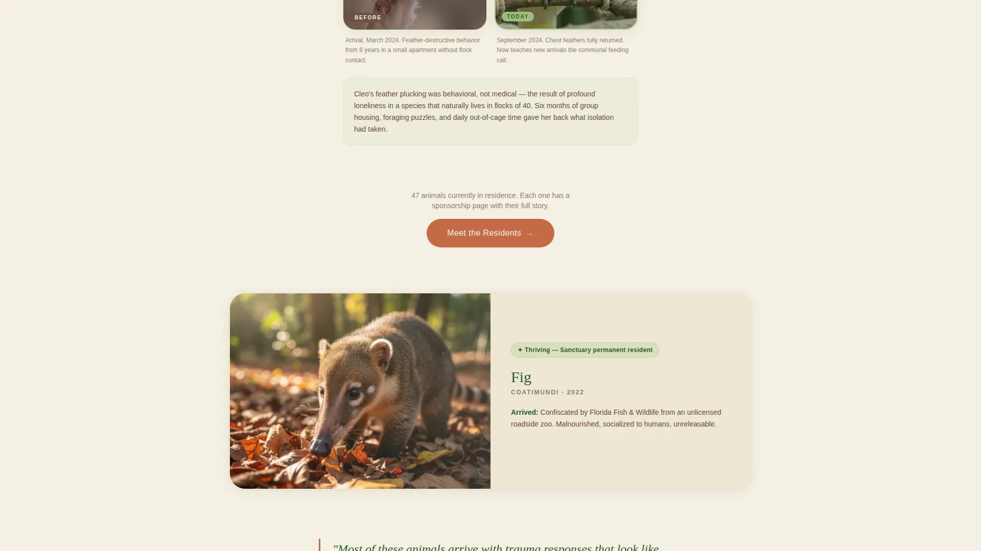 Exotic Animal Rescue Landing Page Template