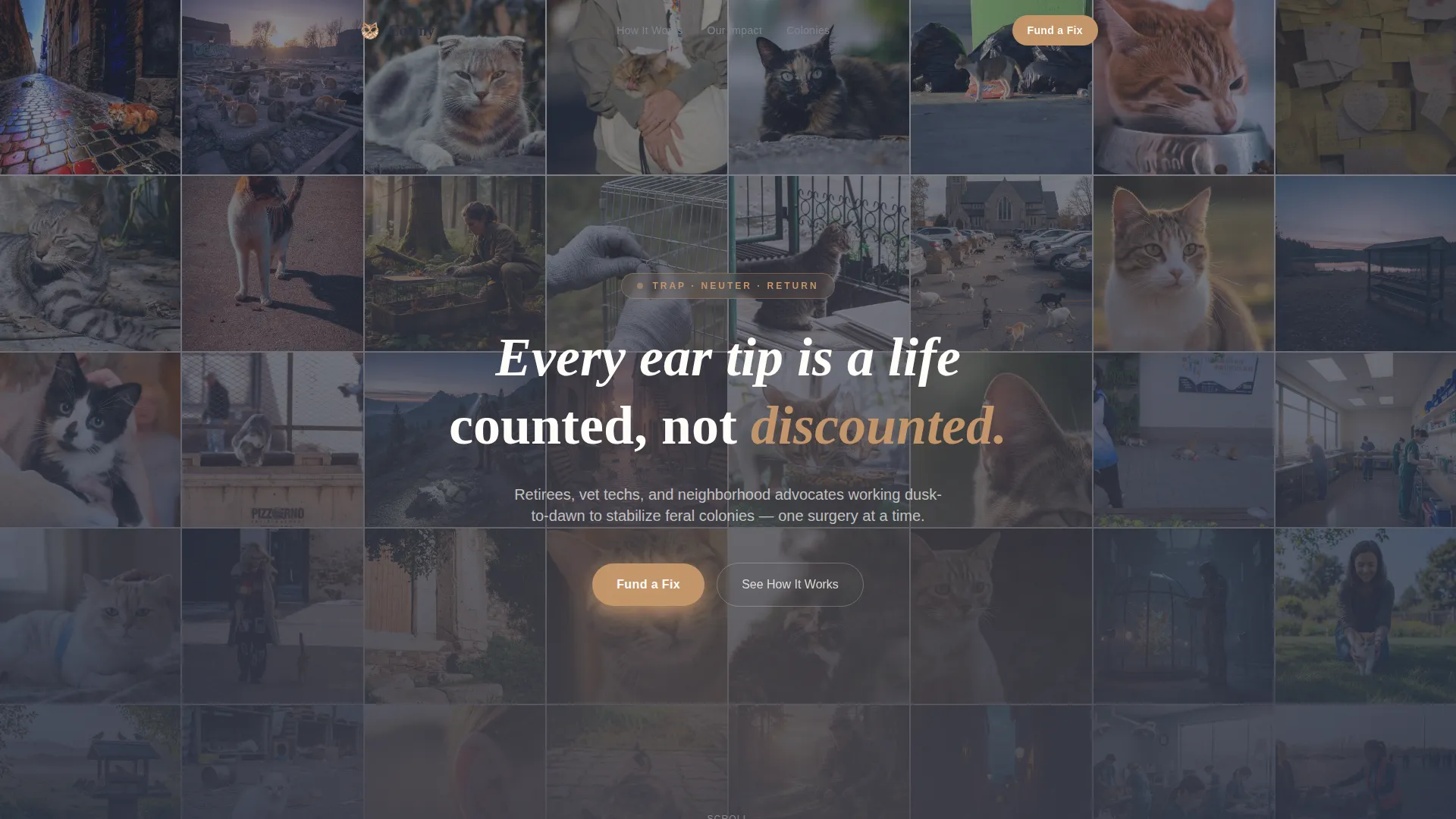 Animal Welfare & Protection Professional Website Template