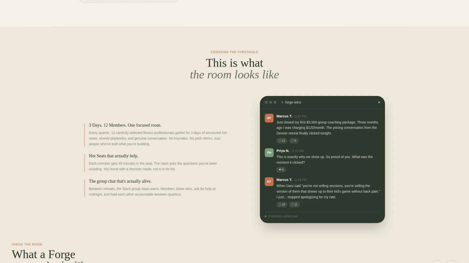 Fitness Professionals Mastermind Landing Page Template