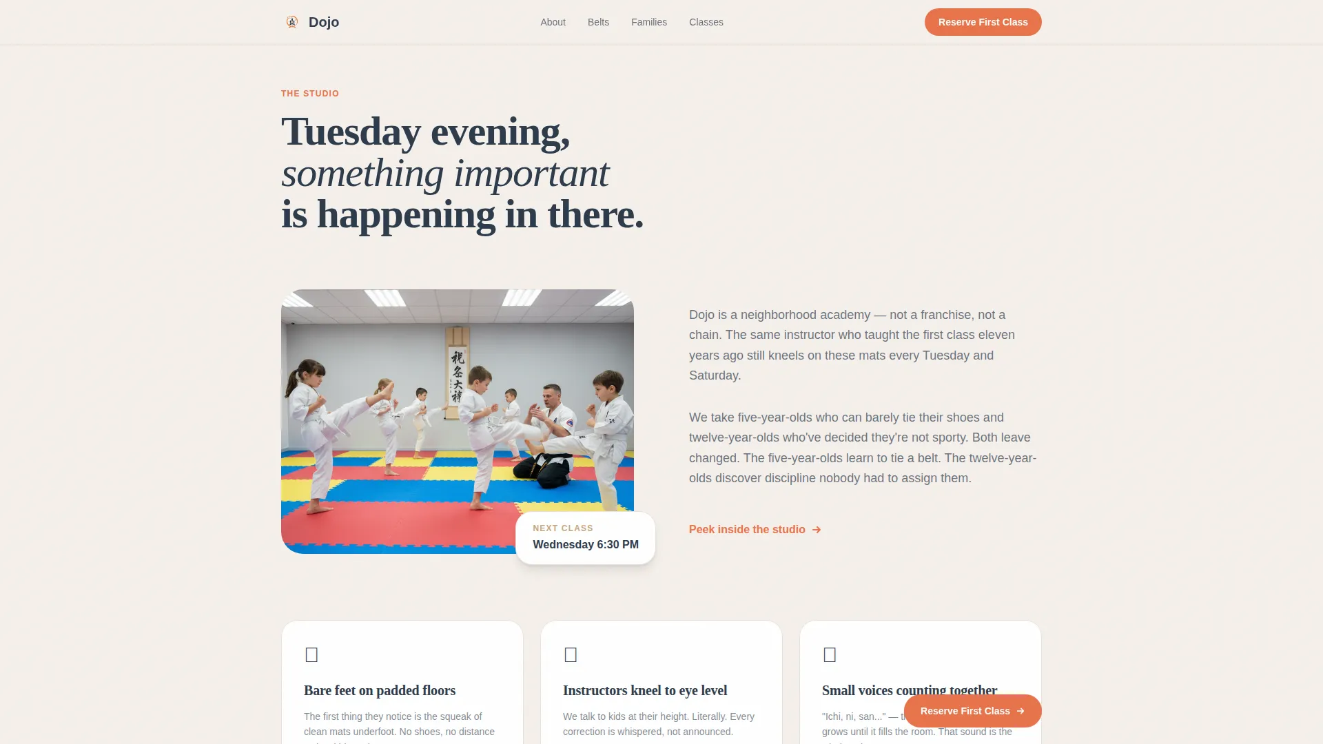 Kids Martial Arts Academy Landing Page Template