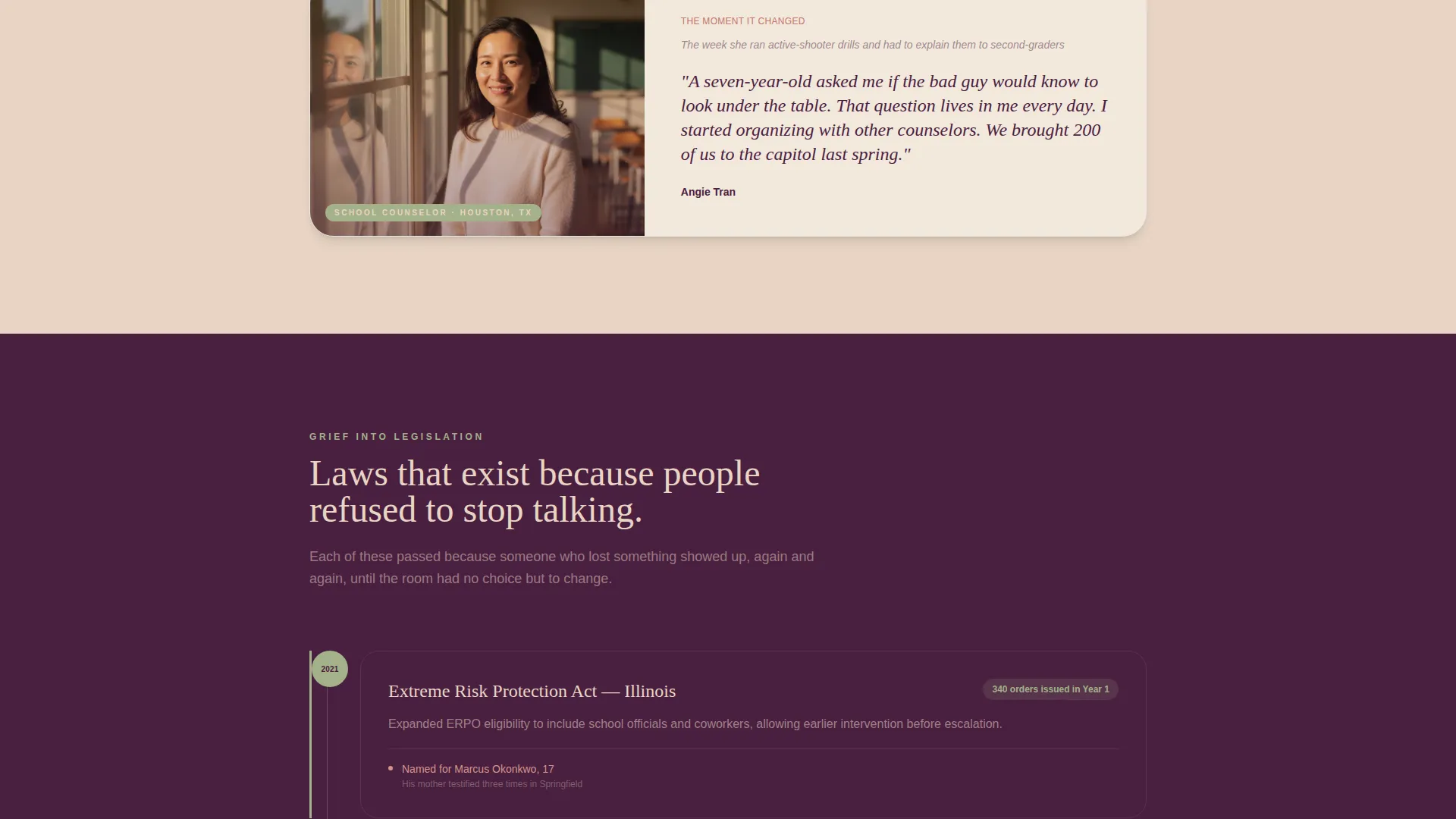 Gun Violence Prevention Advocacy Landing Page Template