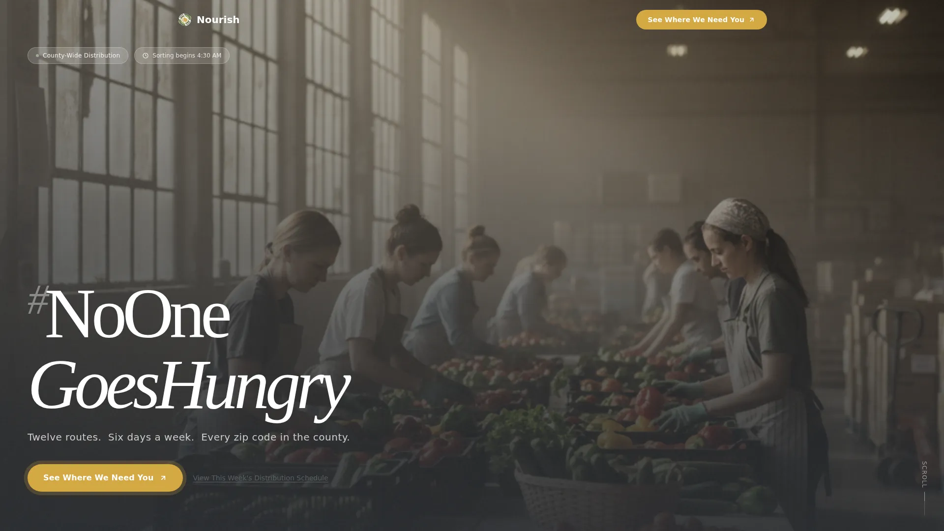 Compassionate Food Access Landing Page Template