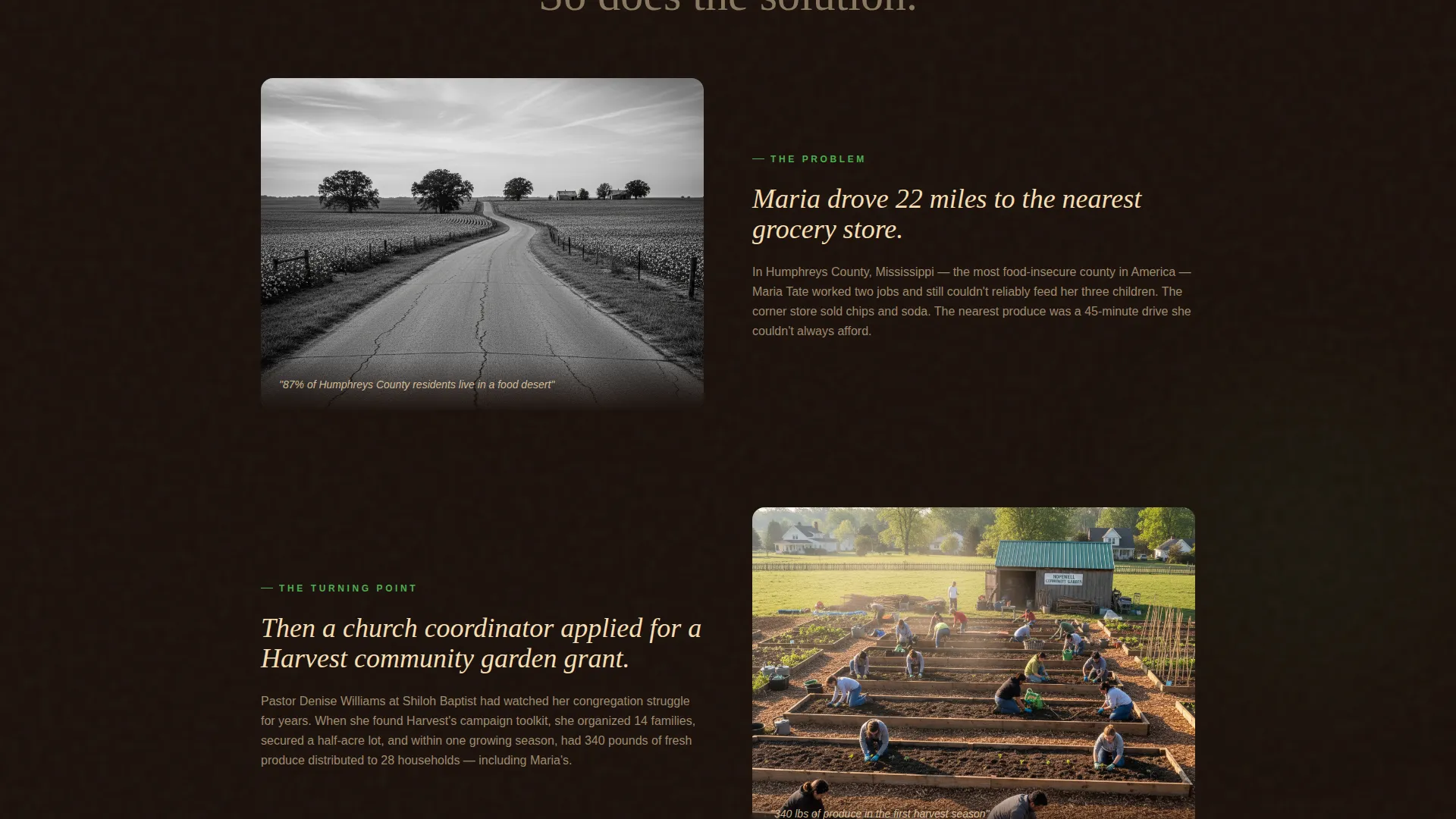 Nonprofit Hunger & Food Security Landing Page Template