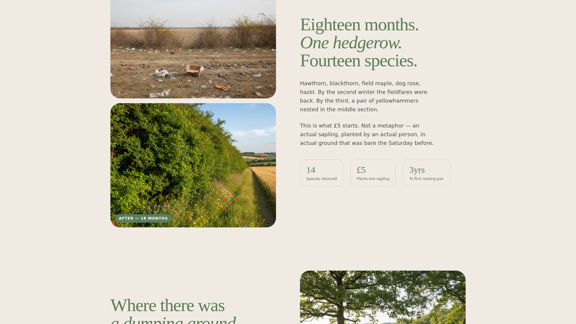 Heartfelt Social Connection Landing Page Template