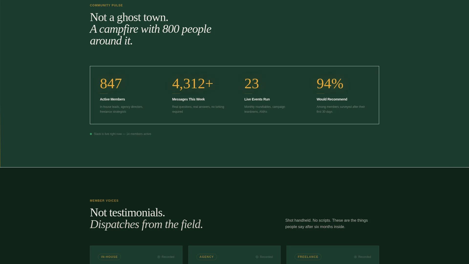 Highconverting Professionals Landing Page Template