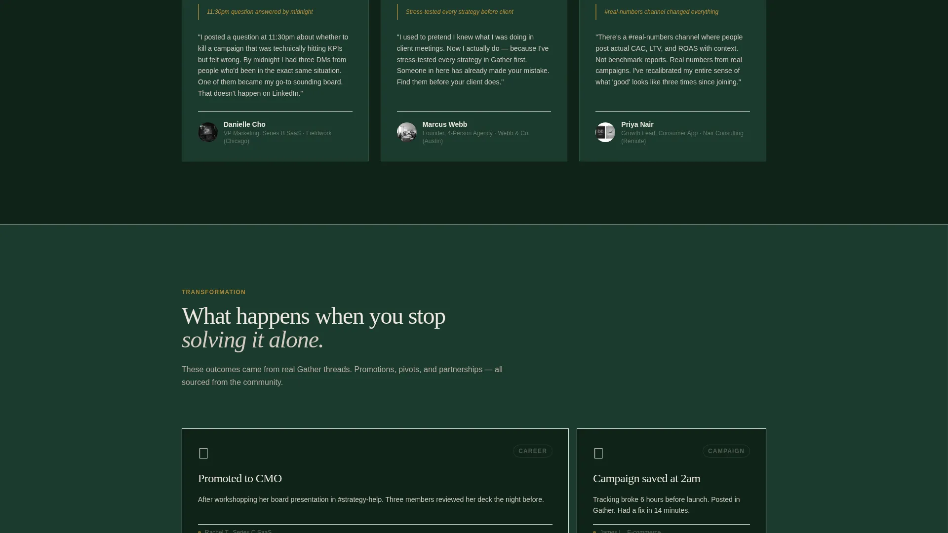 Highconverting Professionals Landing Page Template
