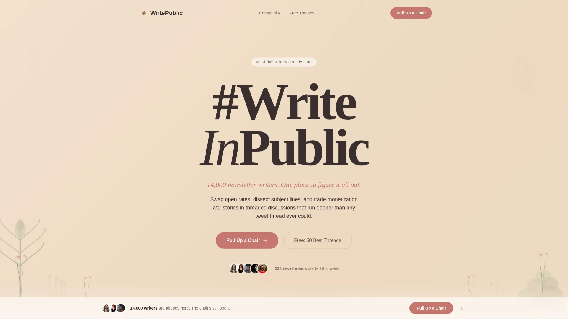 Thriving Newsletterwriters Landing Page Template