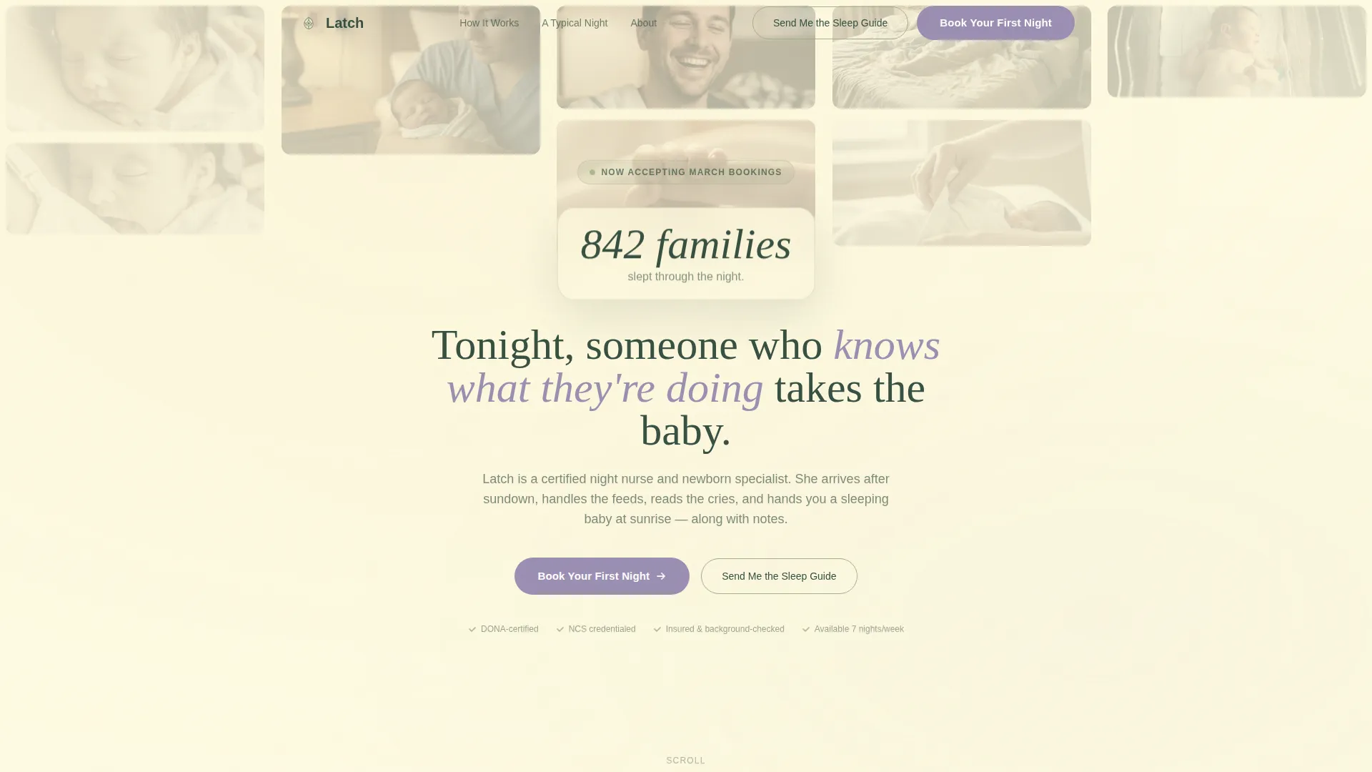 Nanny & Au Pair Specialist Booking Website Template