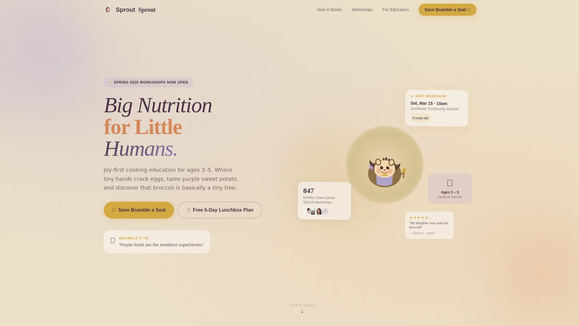 Preschool (3-5) Products & Professional Website Template