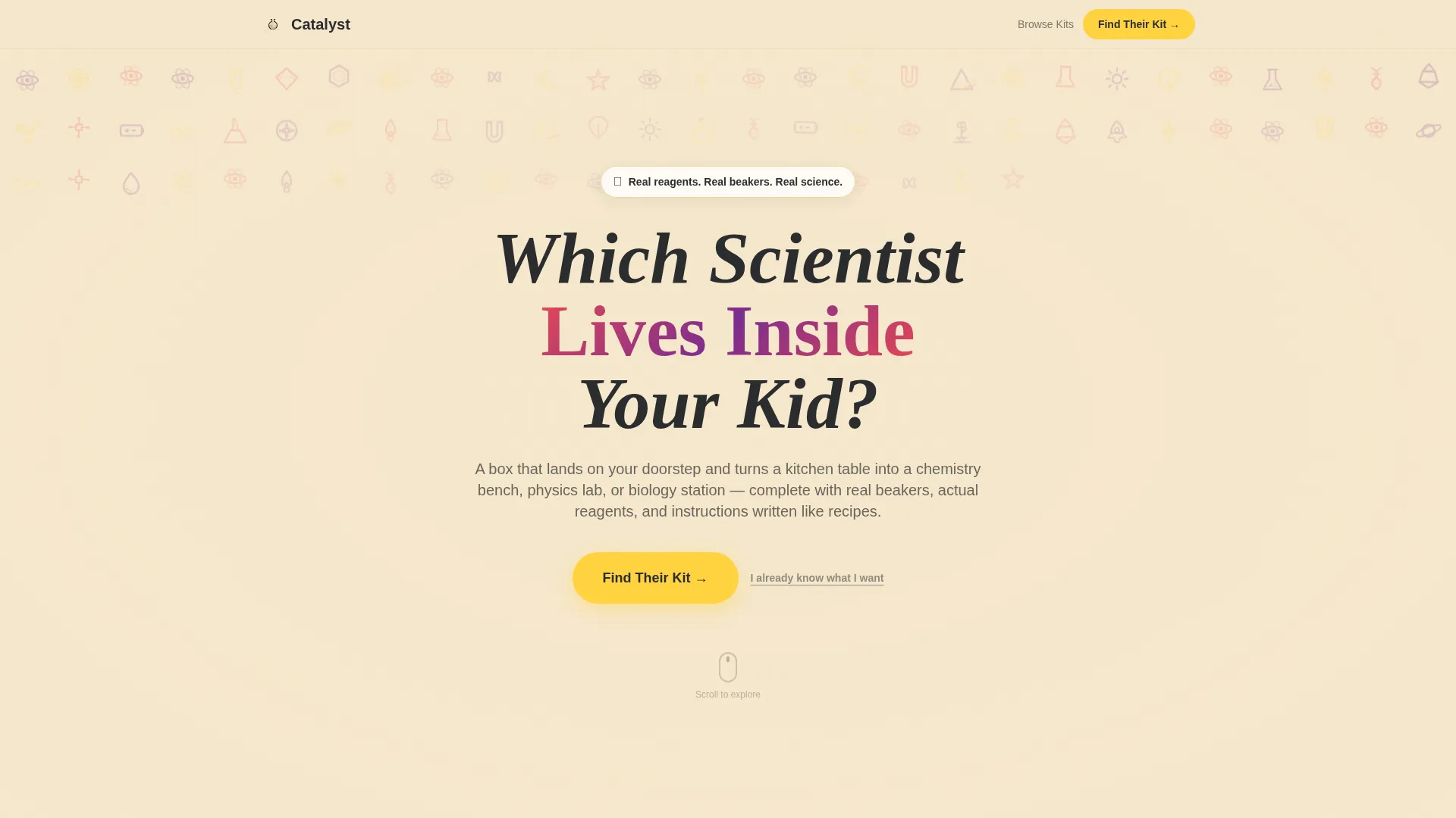 Education & Learning Toy Advanced Professional Website Template