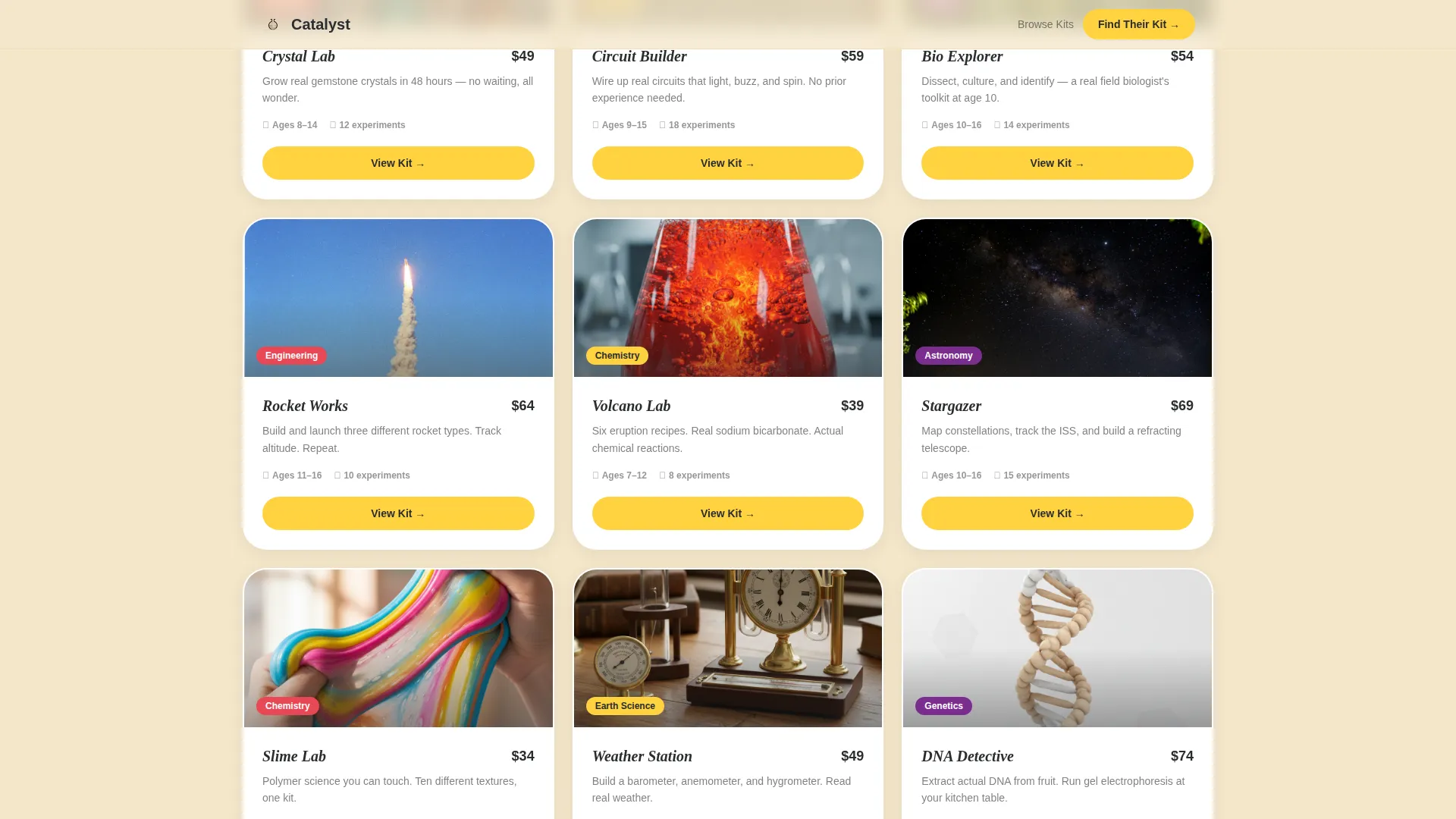 Education & Learning Toy Advanced Professional Website Template