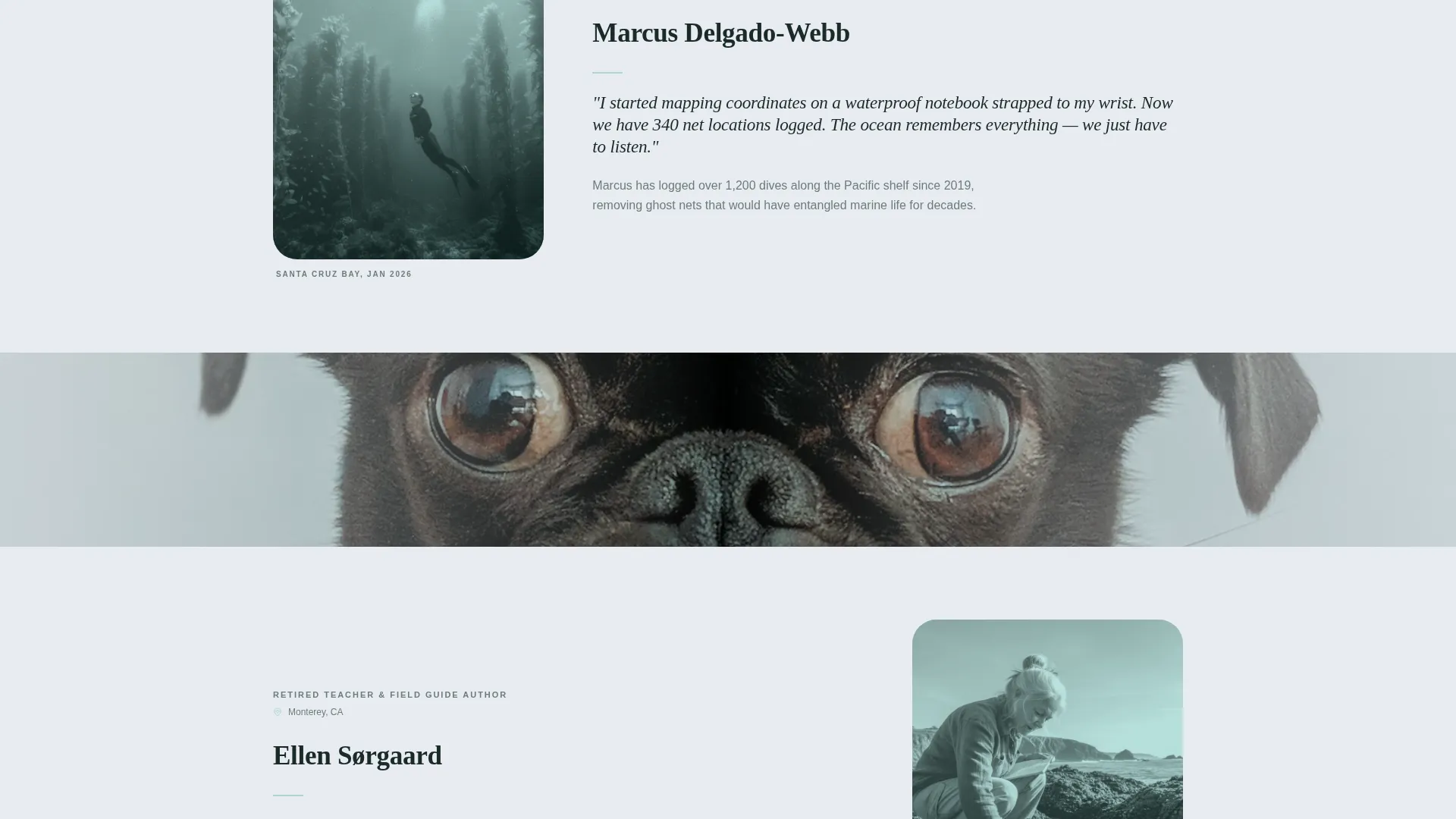 Ocean Conservation Nonprofit Landing Page Template