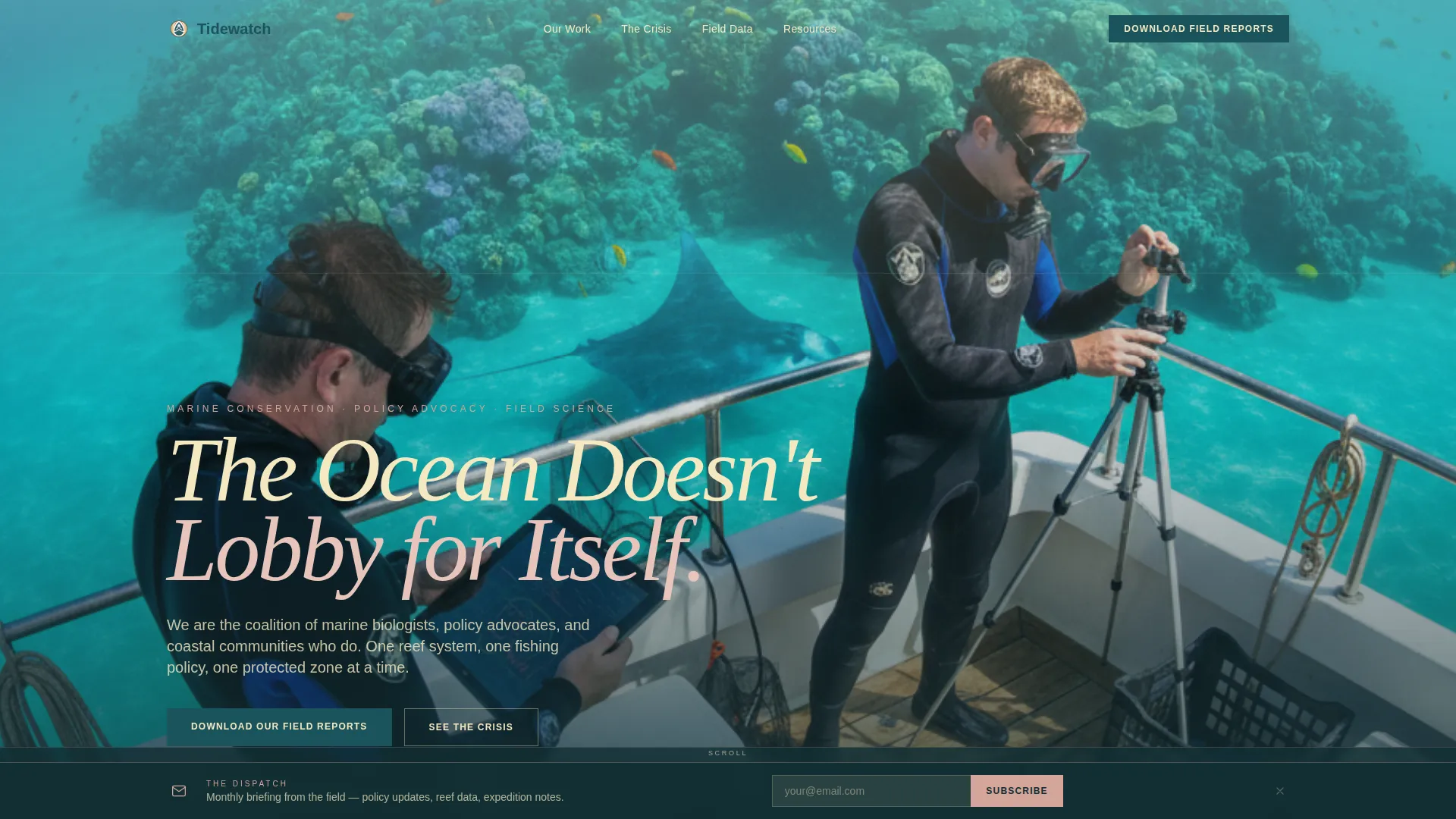 Ocean Conservation NGO Landing Page Template