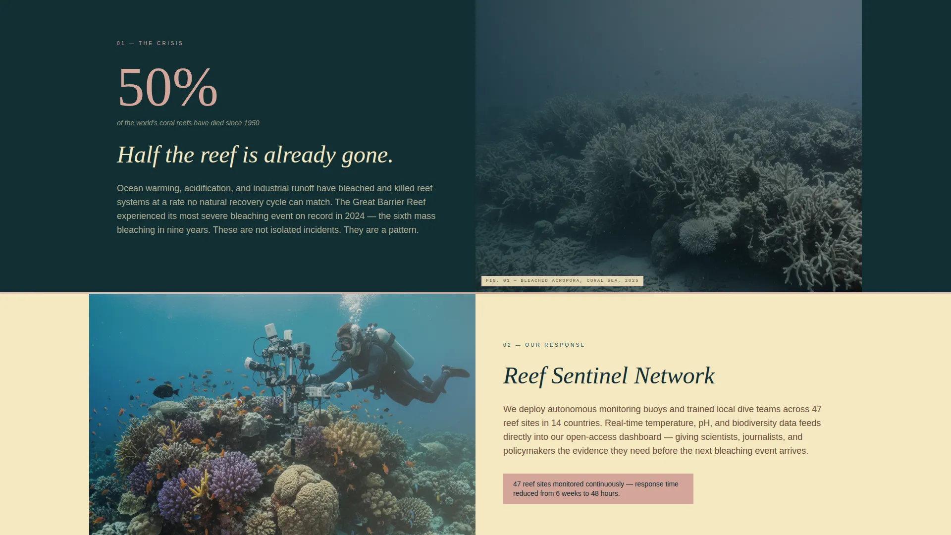Ocean Conservation NGO Landing Page Template