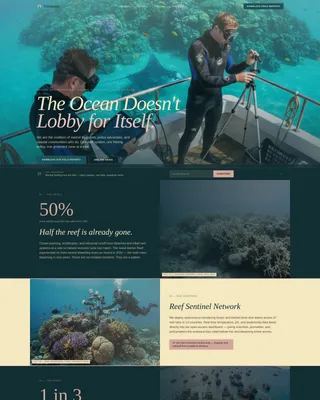 Ocean Conservation NGO Landing Page Template